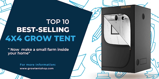4x4 Grow Tent Review and buying guide