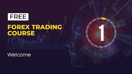 Mastering the Markets: Unlocking Success with Our Free Forex Trading Course