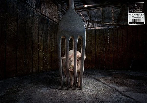 Unveiling the Dark Reality: Animal Cruelty in Factory Farms