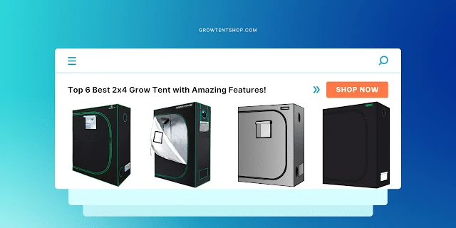 Best 2x4 Grow Tent guide in the world