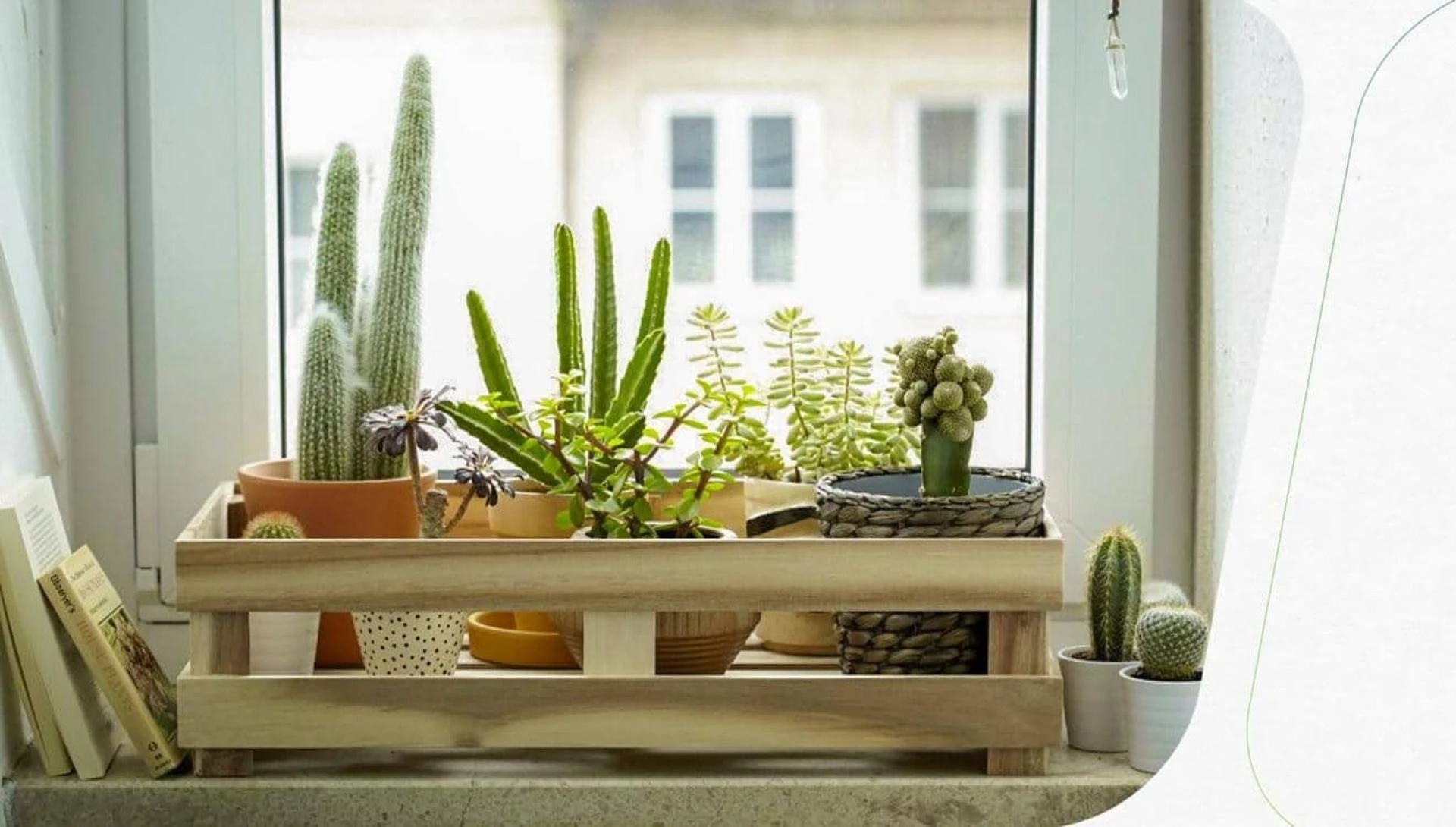 Home decor in a slow,Sustainable way