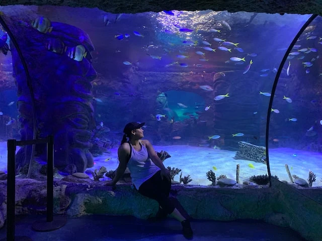 Know About 10 Gallon Fish Tank