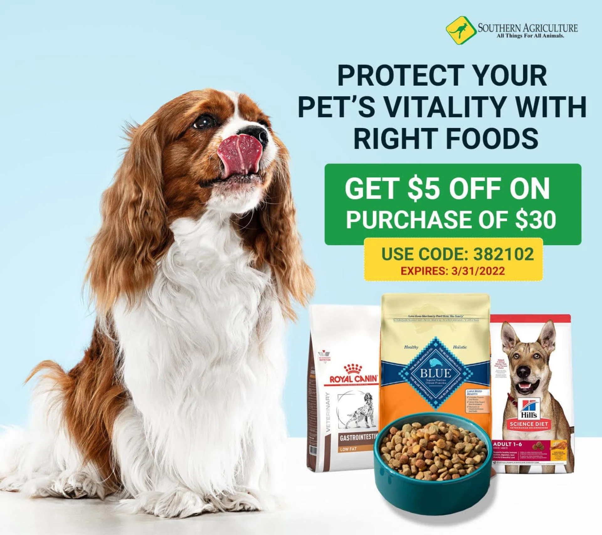 Why Choose Hill’s Pet Foods For Your Pet’s Health &amp; Happiness