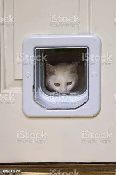 Pet Doors: A Quick Guide