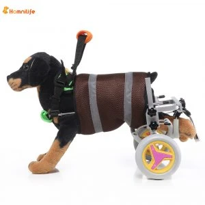 Canine Wheelchairs - A Blessing in Disguise