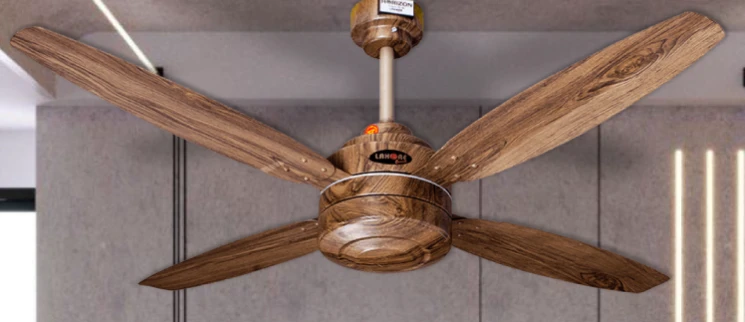 Lahore Fan: Exploring Fan Design in Pakistan and Online Shopping