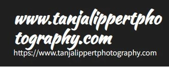 How to apply for membership of online football betting websites