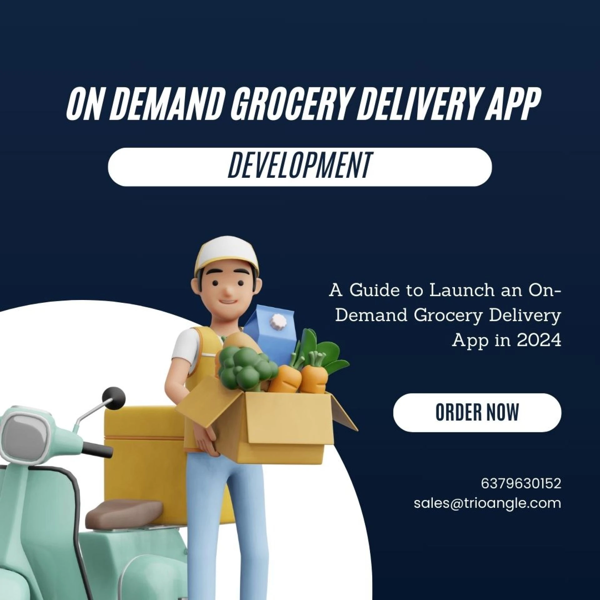 A Guide to Launch an On-Demand Grocery Delivery App in 2024