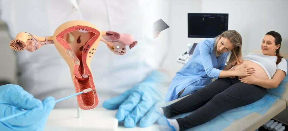 What Causes Uterine Fibroids?