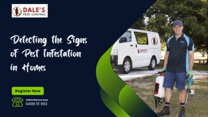 Detecting the Signs of Pest Infestation in Homes