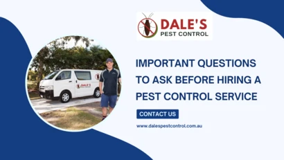 IMPORTANT QUESTIONS TO ASK BEFORE HIRING A PEST CONTROL SERVICE