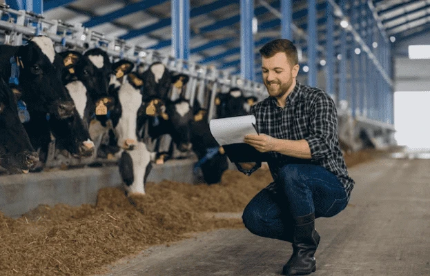 Insurance for Livestock