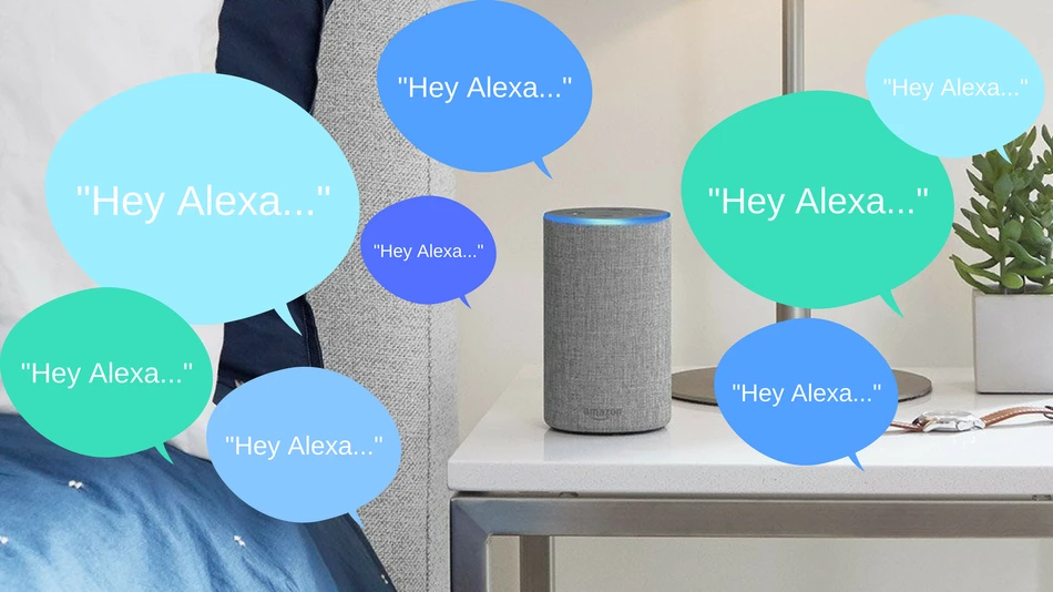What are the Alexa App Privacy to Setup?