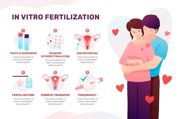 Holistic Approaches to Support IVF: Integrating Wellness into Fertility