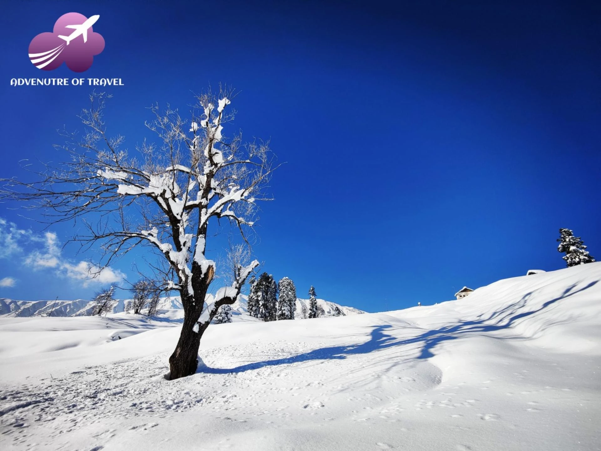 "A Winter Wonderland: 7 Enchanting Destinations to Experience Snowfall in India"