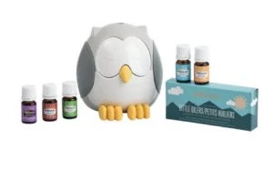 How can an essential oil guide book be helpful to you?