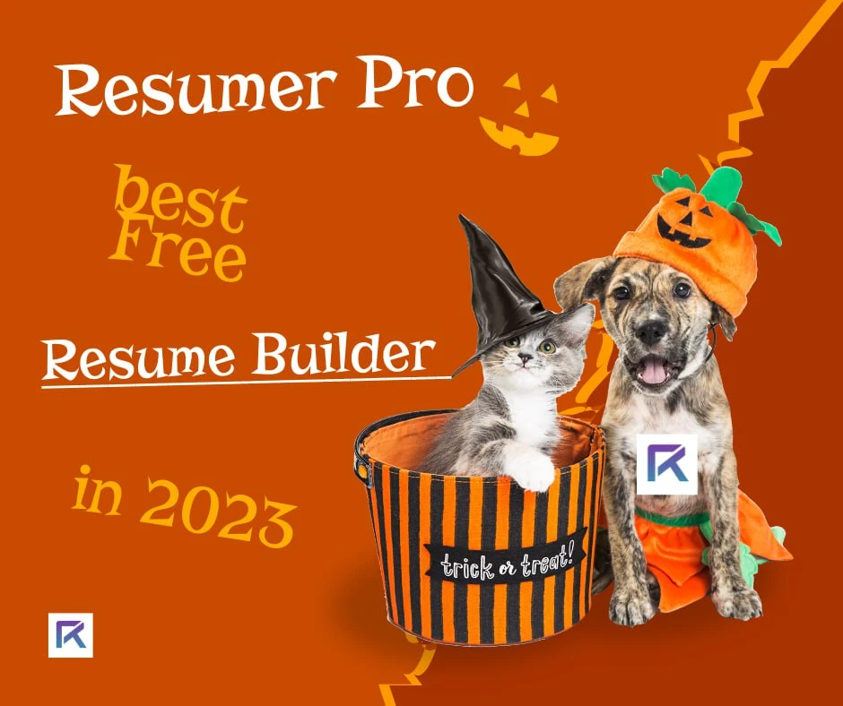 Present Your Work Experience Effectively with Our Resume Creator