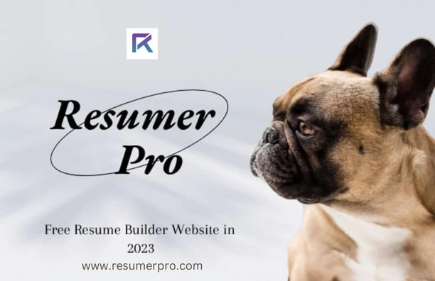 Designing a One Page Resume That Stands Out