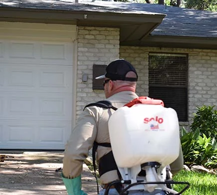 3 Signs You Need Professional Pest Control Services
