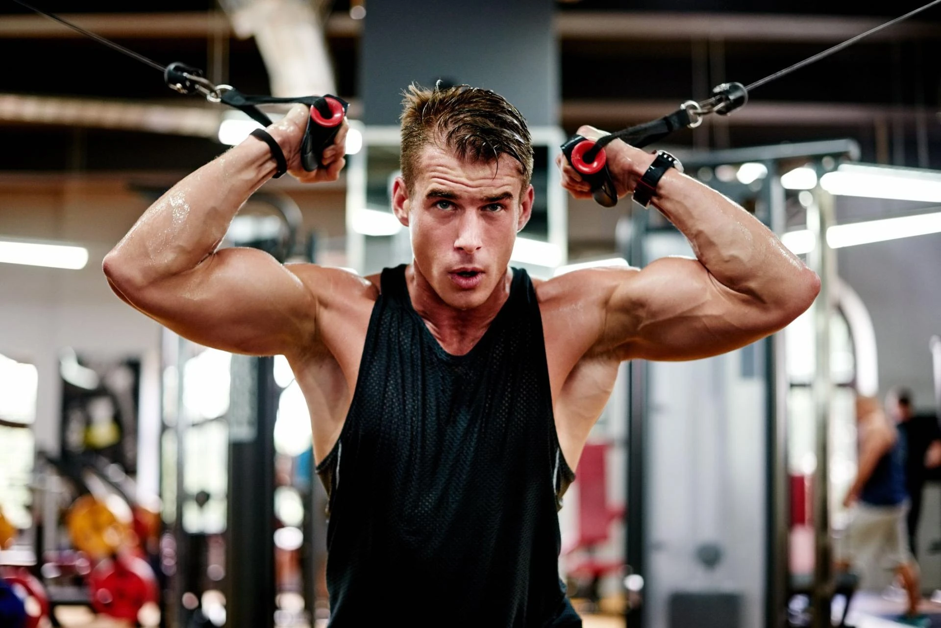 The Role of Arimidex in Bulk Building