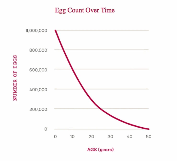 What Is the Best Age to Freeze Your Eggs?