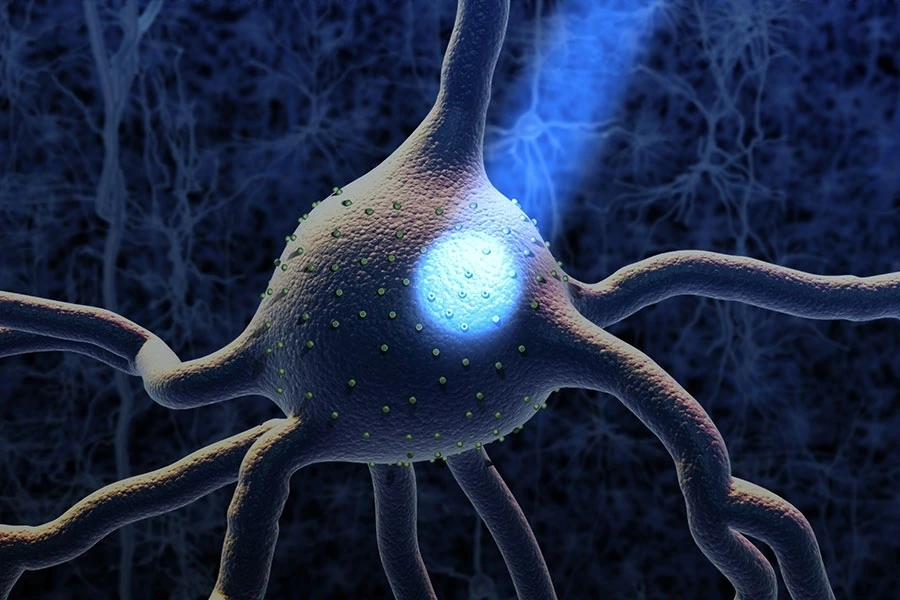 Optogenetics Market by Component, Service, Application, and Region- Global Forecast to 2023