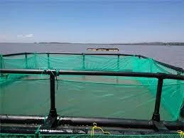 Fishing Net and Aquaculture Cage Market  | Key drivers and restraints impacting market growth