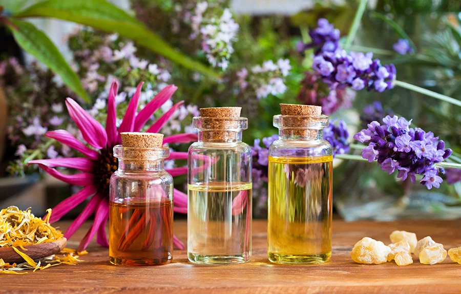 Organic Personal Care Products mainly comprise plant ingredients and do not contain chemicals that a