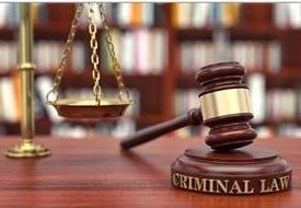 Role of Criminal Lawyer in Criminal Cases and Defense Proceedings