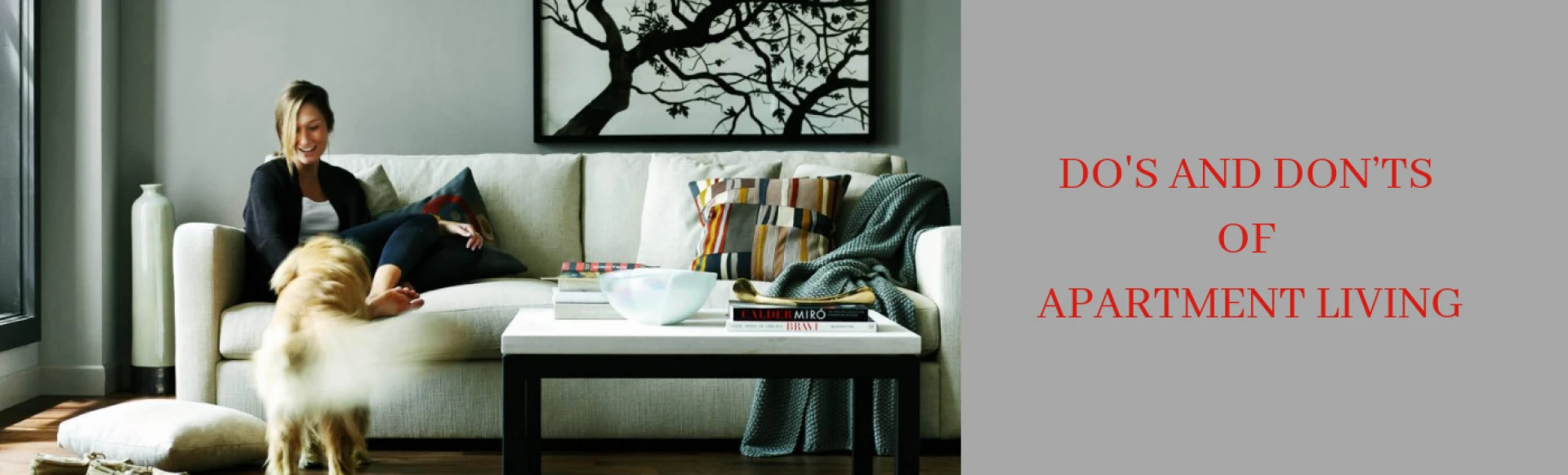 MOst Useful Apartment Living Tips