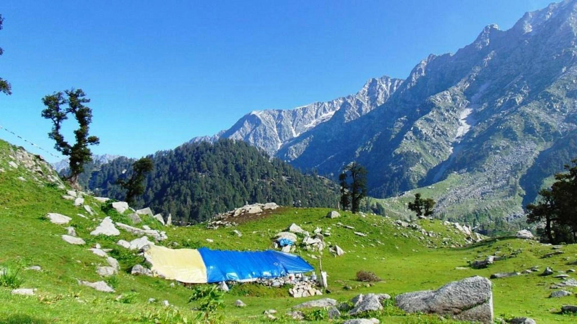 Triund Trek: Witness the Majestic Panorama of the Kangra Valley