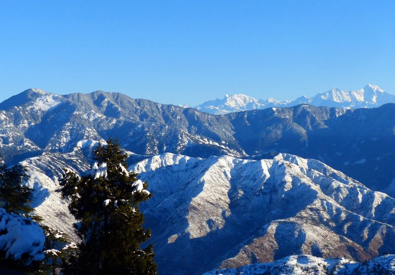  Nag Tibba Trek: Experience the Thrill of Summiting the Highest Peak in the Nag Tibba Range