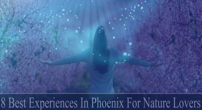 Title: 8 Best Experiences In Phoenix For Nature Lovers, Without Strenuous Hiking