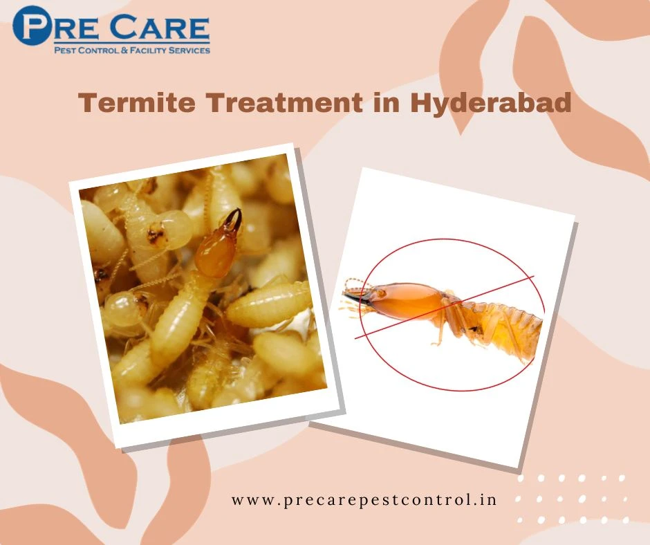 Termite Treatment in Hyderabad | Pre Care Pest Control