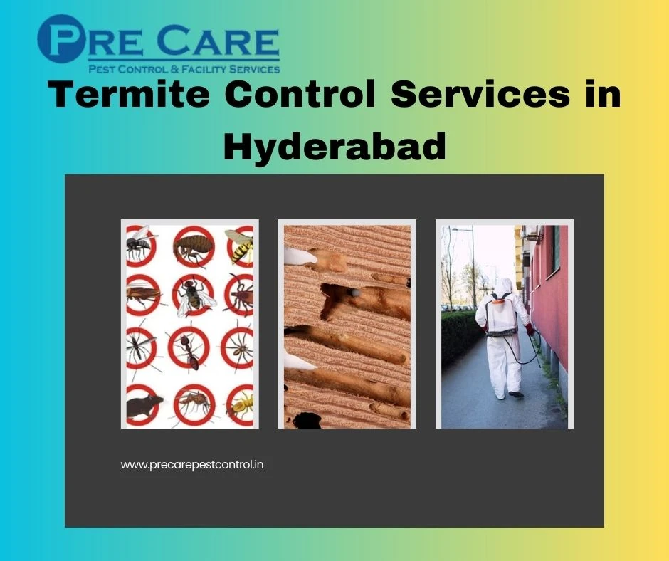 Termite Control Services in Hyderabad | Pre Care Pest Control