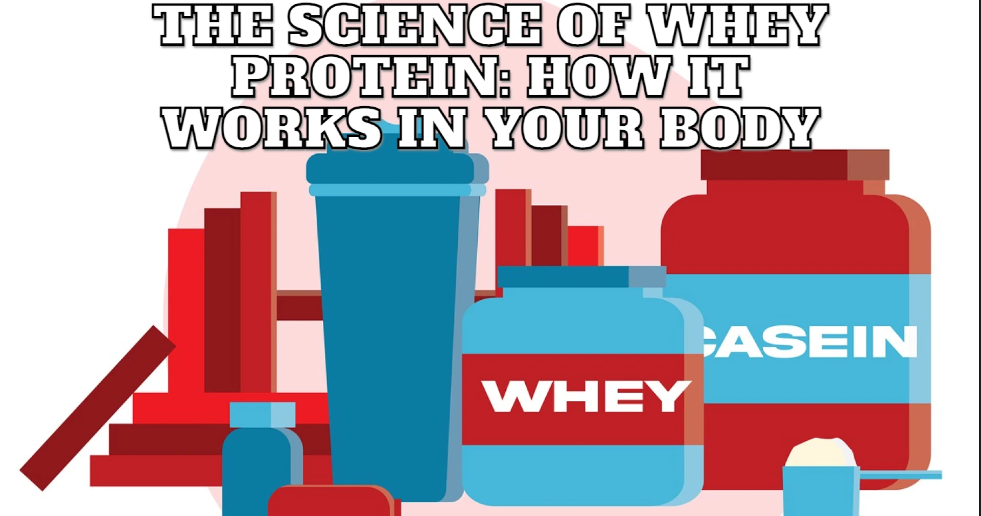 The Science of Whey Protein: How It Works in Your Body