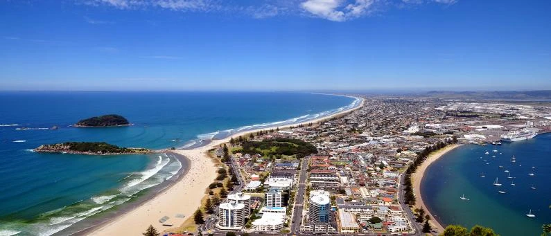 Professional Property Management Specialists