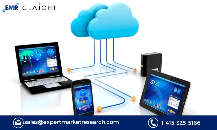 Web Hosting Services Market Size, Share, Growth, Trends, Outlook, Report and Forecast 2024-2032