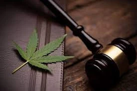 Benefits Of Hiring A Drug Offence Lawyer Early On In A Case