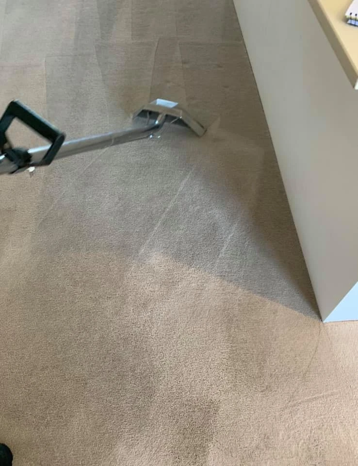Carpet Cleaning Sydney