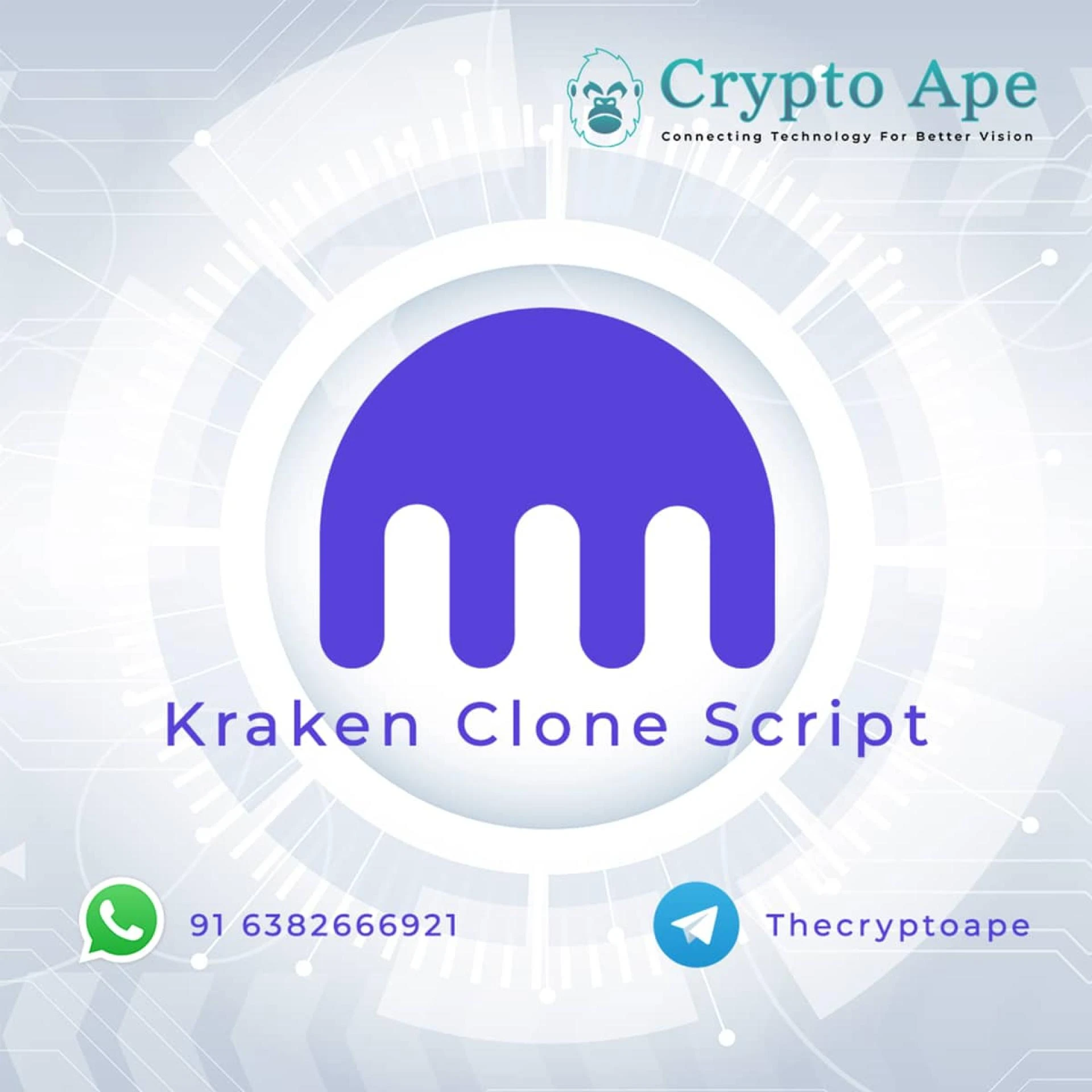Kraken Clone Script – Things to Know Before Opting this Option.
