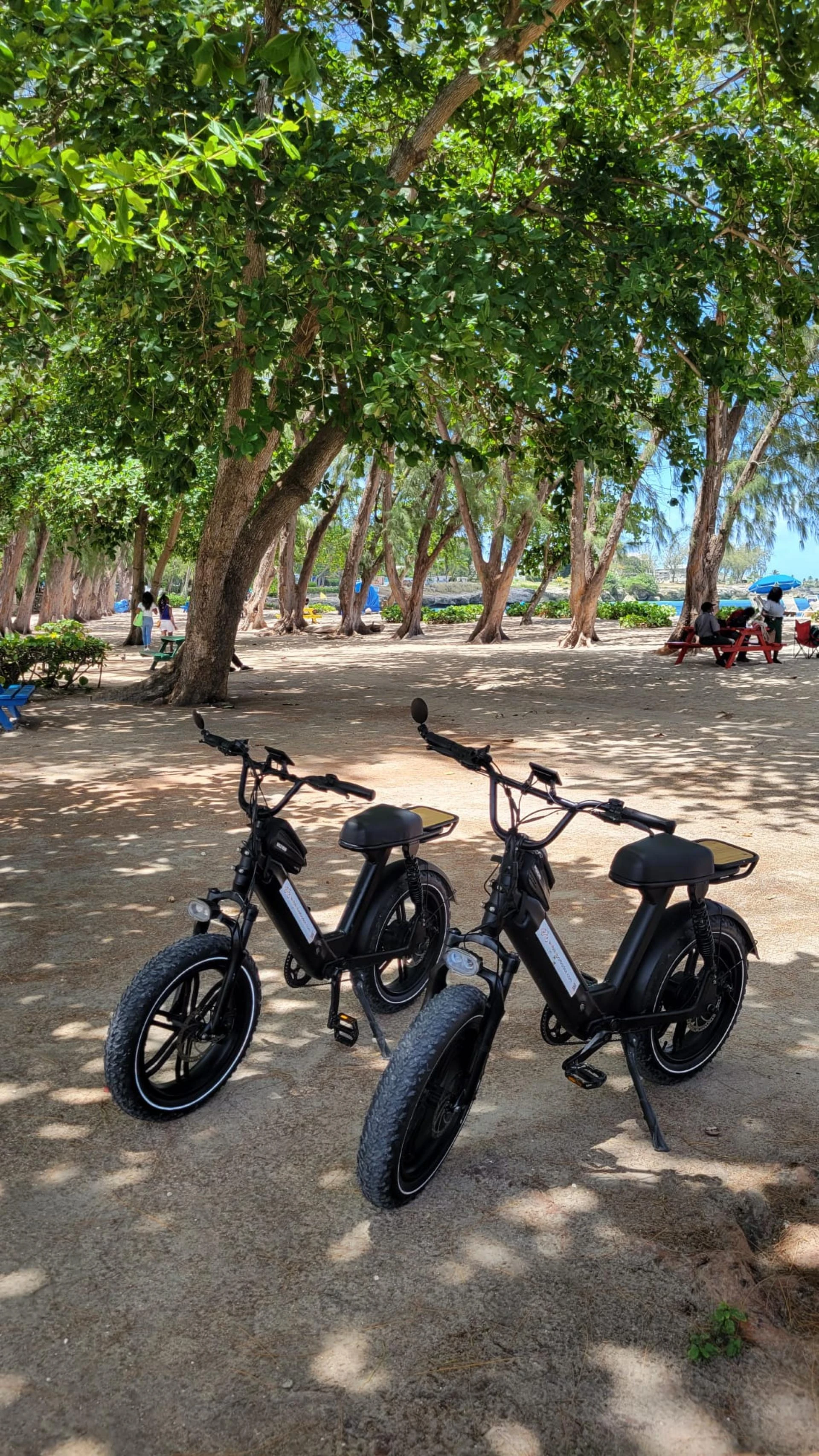 Exploring Aruba’s Beauty: The Ultimate Guide to Electric Bike Rentals
