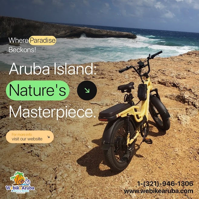 Exploring Aruba on Two Wheels: Discover the Best Bike Rental Options