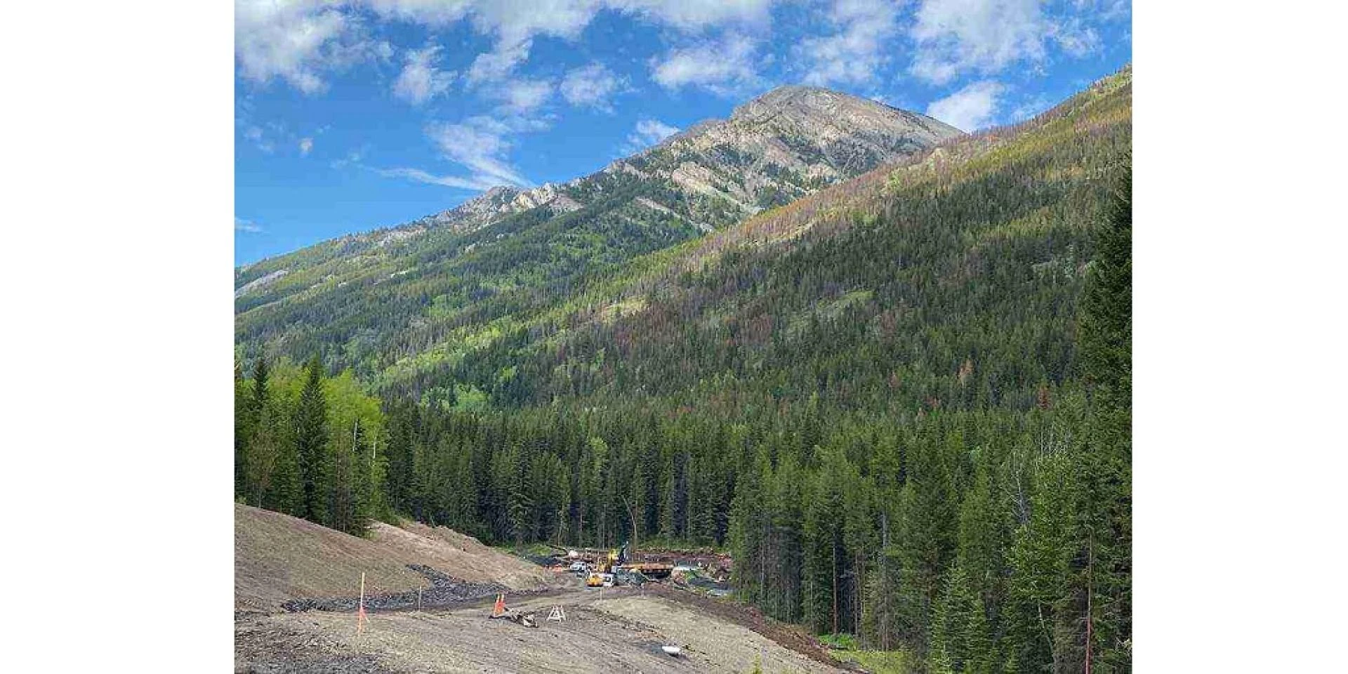 Navigating Real Property Reports in Kelowna: Common Mistakes and How to Avoid Them