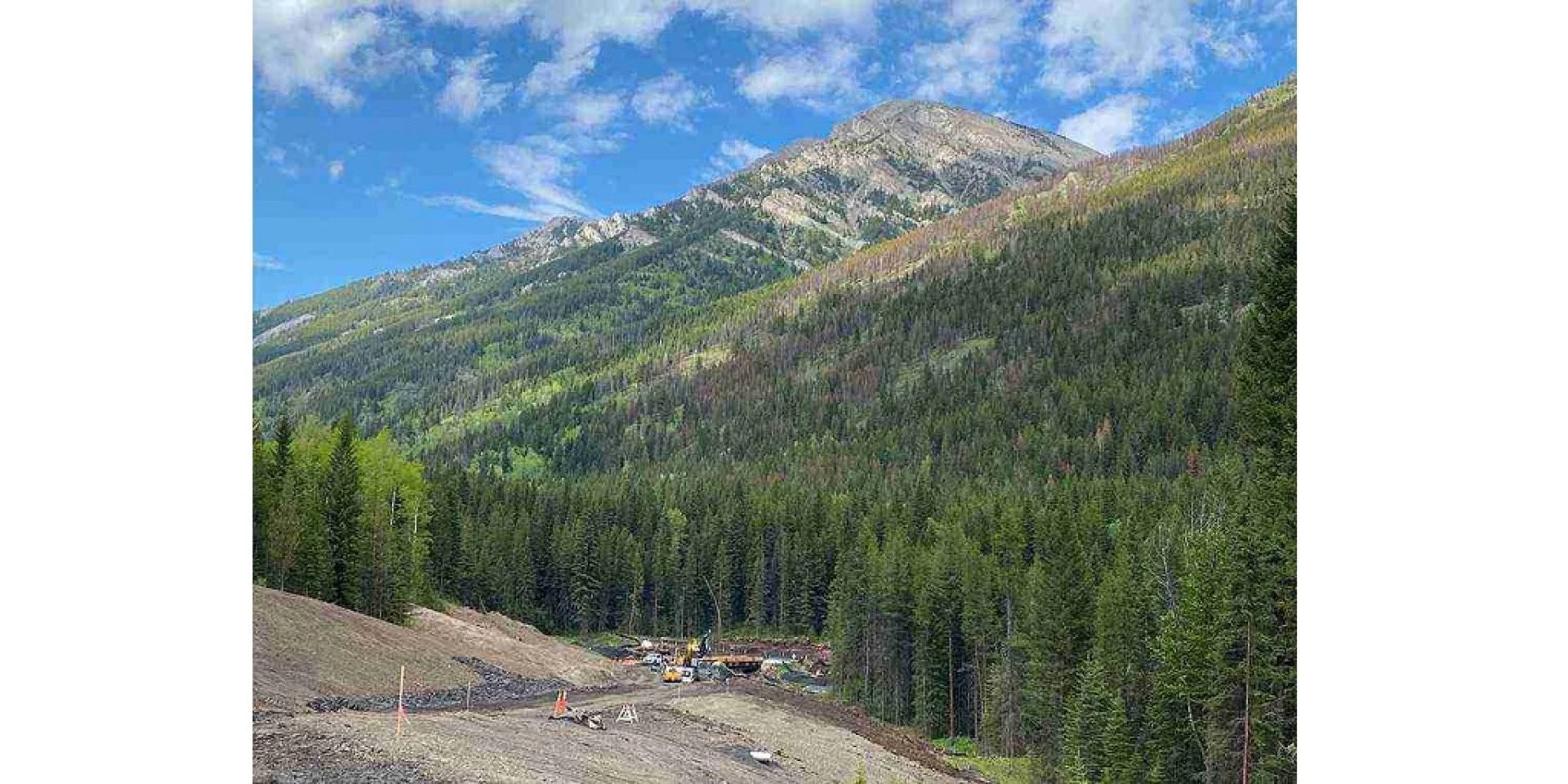 What Does A Land Surveyor Do?