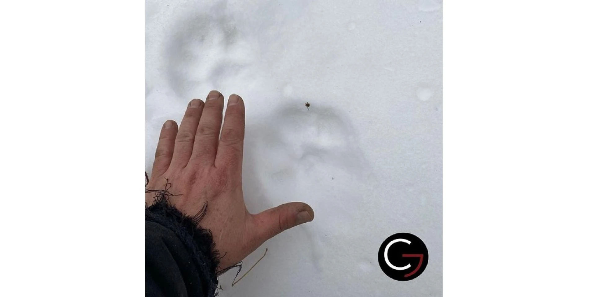 How to Choose the Best Surveyors in Calgary