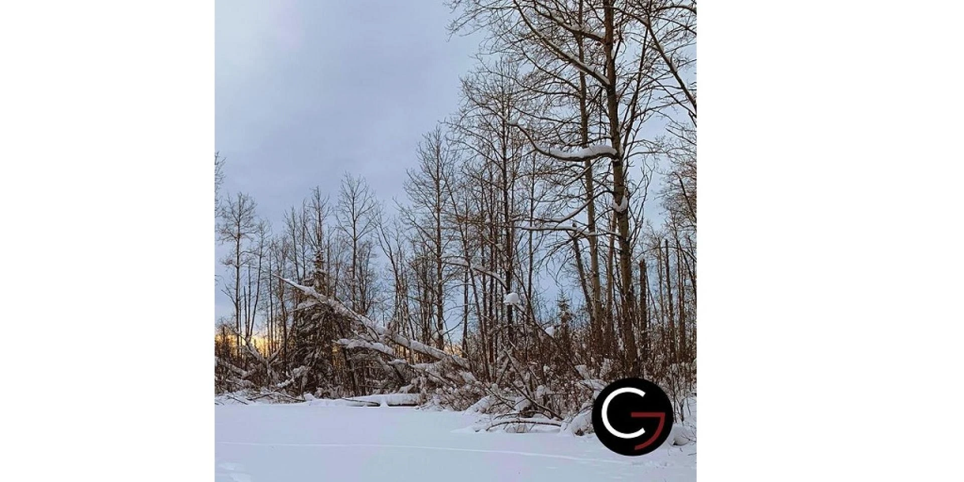 Why You Should Get Geomatic Services For Your Projects in Calgary