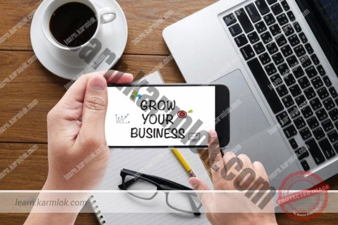 Beginner to Advanced "Take A Business Online From Scratch To Revenue"