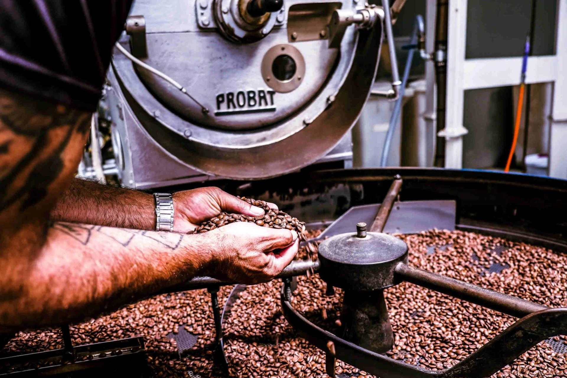 The Coffee Beans Wholesale Suppliers in Melbourne