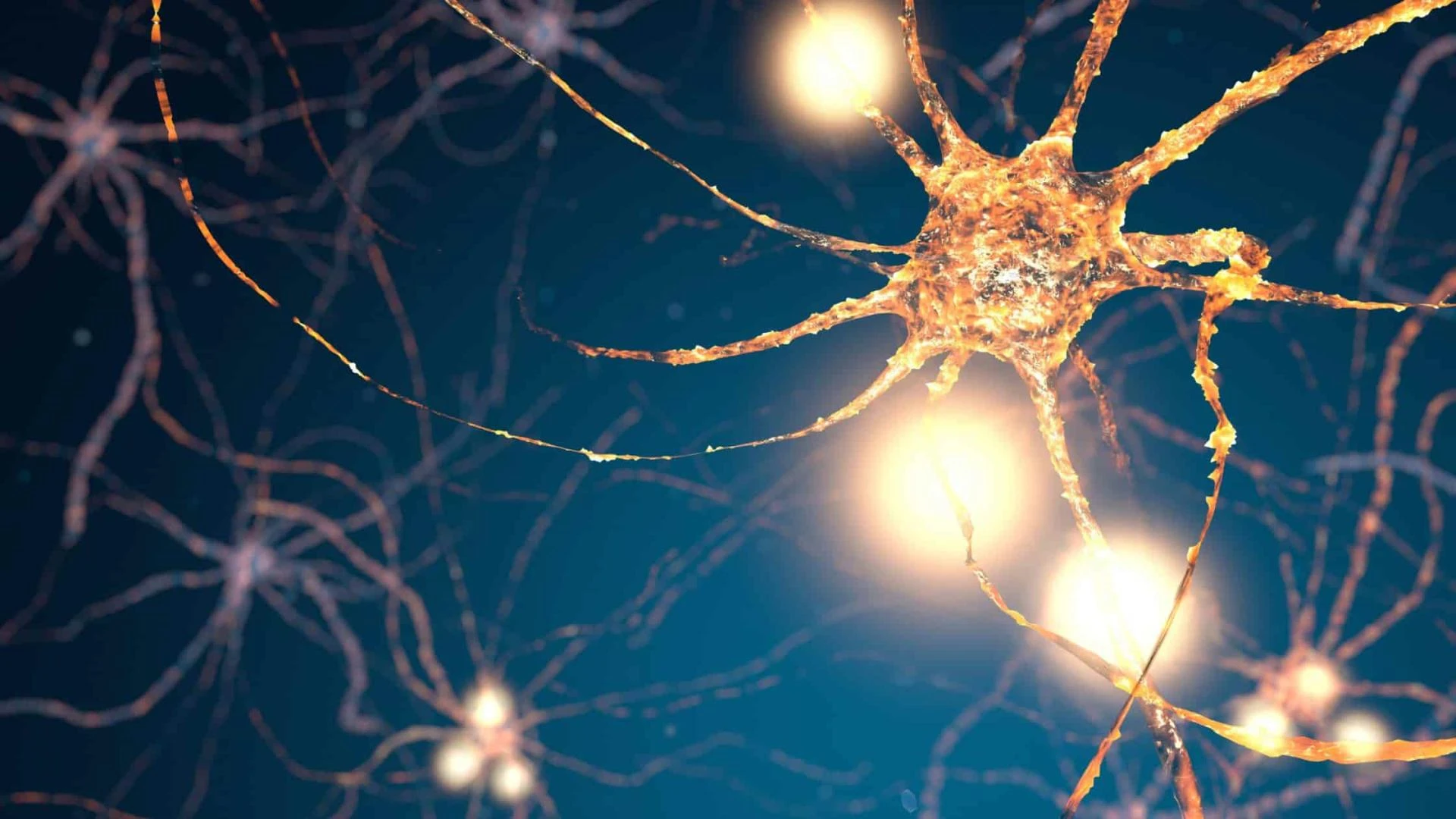 Understanding Blood Tests for Mast Cell Activation Syndrome (MCAS)